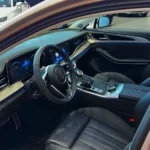 Hongqi H9 2023 chauffeur service