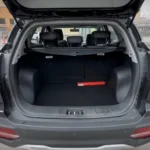 Rent JAC JS3 2024 without deposit