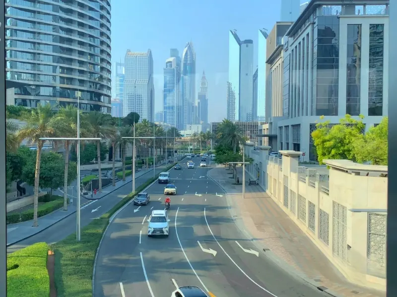 City street with palm-lined median and modern glass buildings in a downtown area in sunny weather, vehicles on the road.